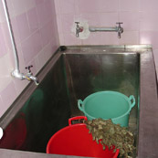 Sirenin sauna