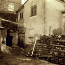 Halkoja