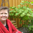 saunan päivä